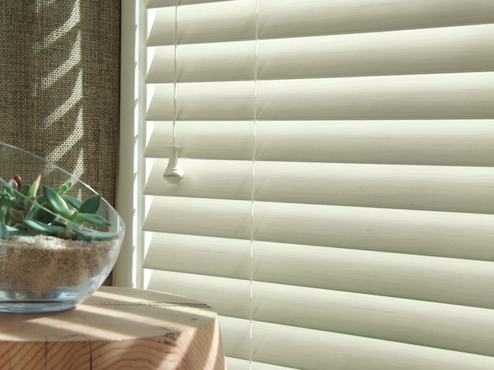 White wood blinds with succulent terrarium 